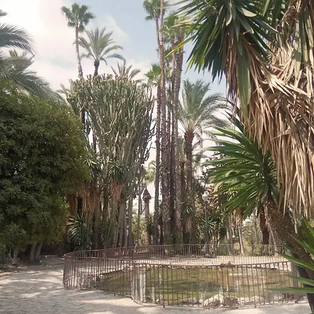 Apartment Casa Stella *