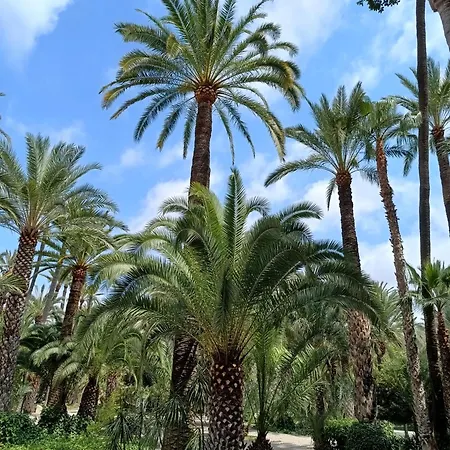 Casa Stella Apartment *