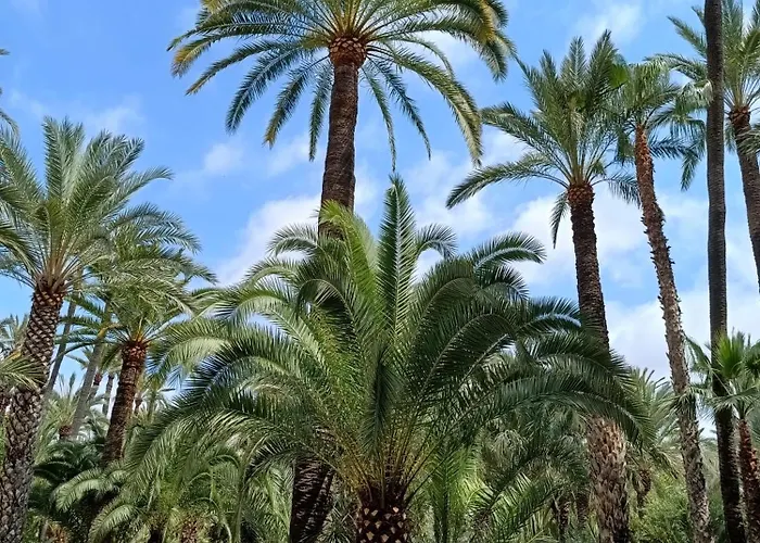 Casa Stella Appartement *